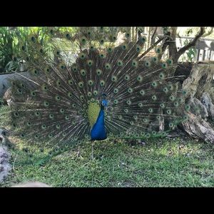 Meet your Posher, Mariam